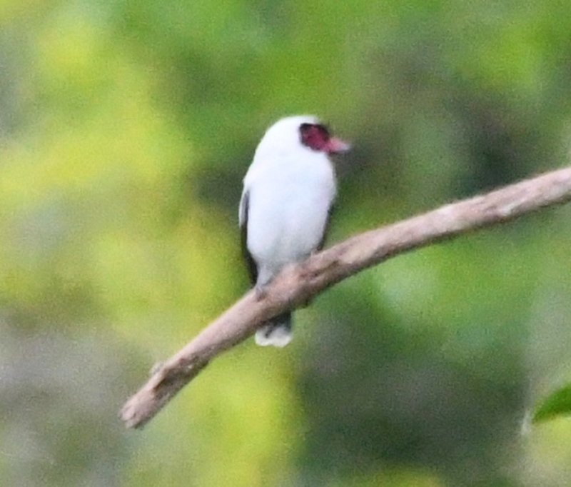DSC_6681b.jpg