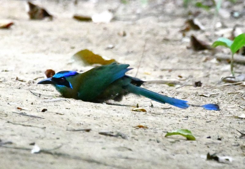 DSC_7769b.jpg