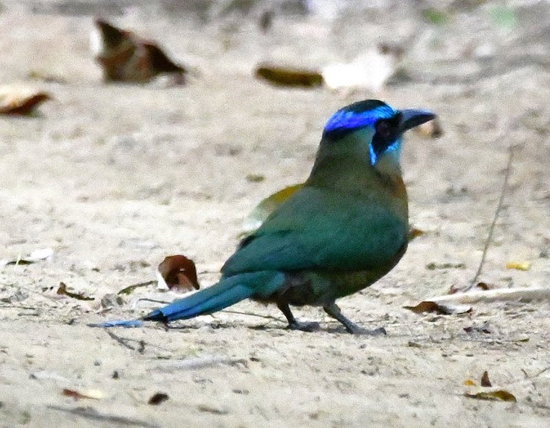 DSC_7773b.jpg