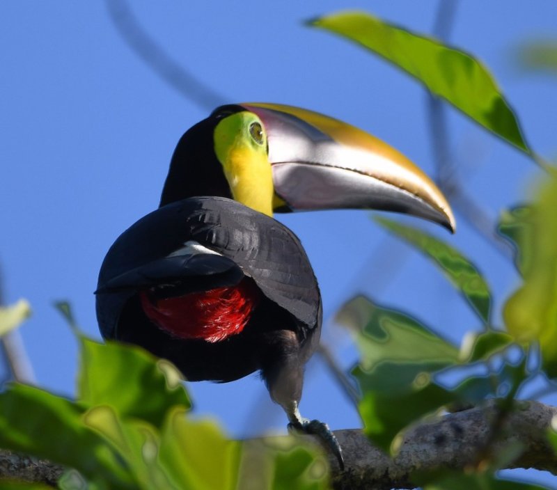 DSC_8249b.jpg