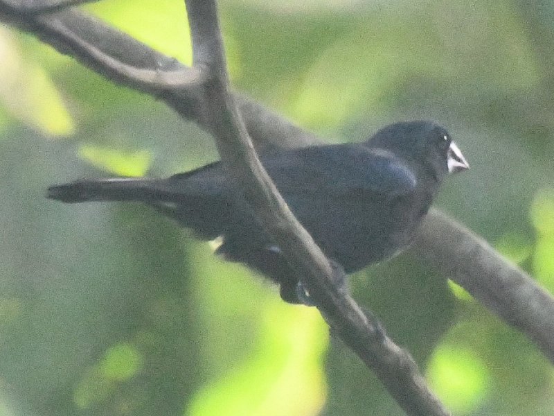 DSC_8710b.jpg