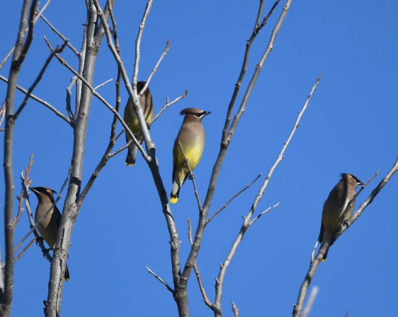 DSC_3529b.jpg