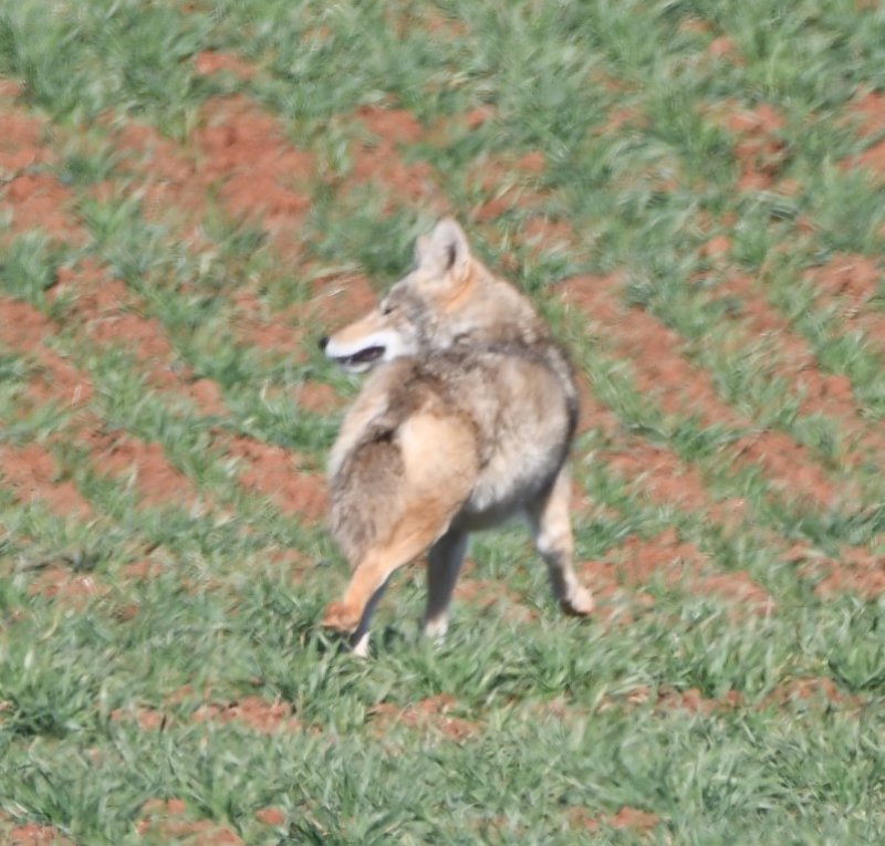 DSC_4320b.jpg