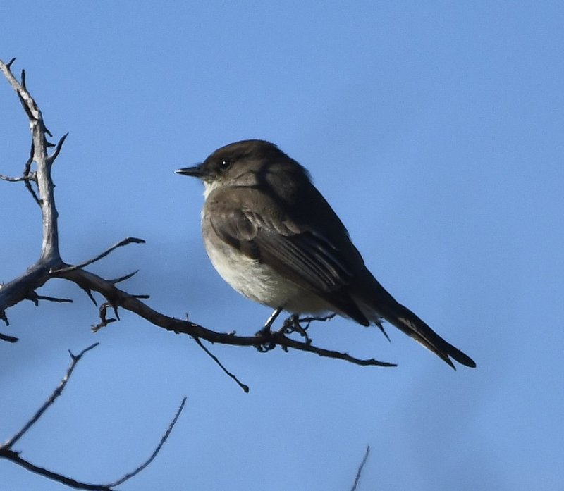 DSC_5141b.jpg