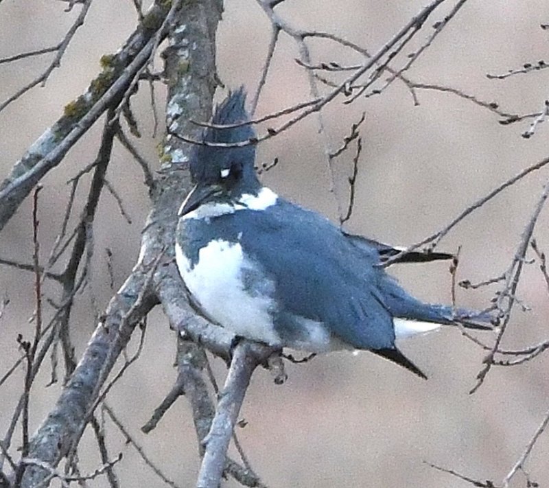 DSC_5316b.jpg
