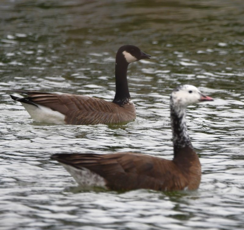 DSC_6548b.jpg