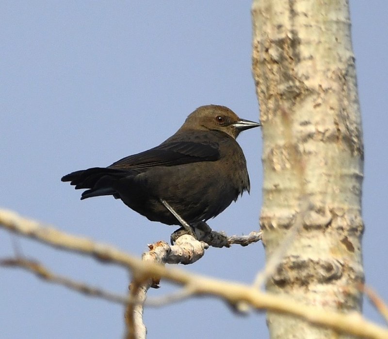 DSC_6682b.jpg