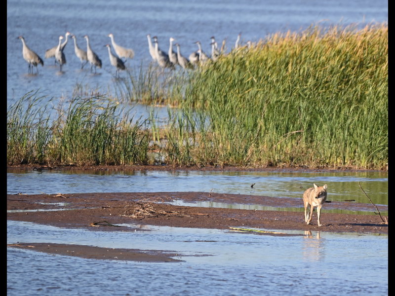 DSC_2905b.JPG