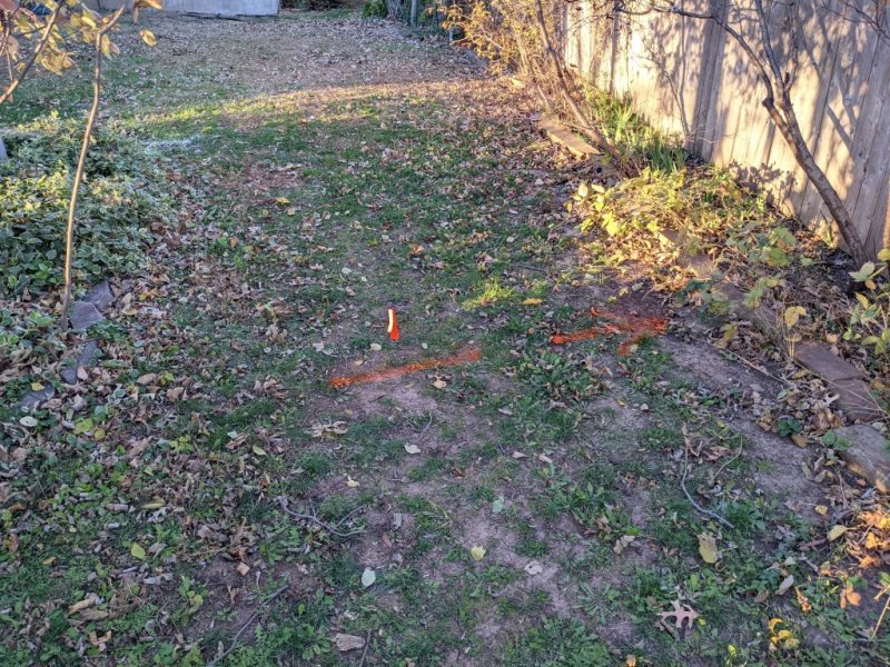 PXL_20211122_224342608b.jpg