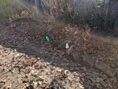 IMG_20181210_115258.jpg