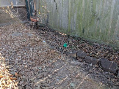 IMG_20181210_115308.jpg
