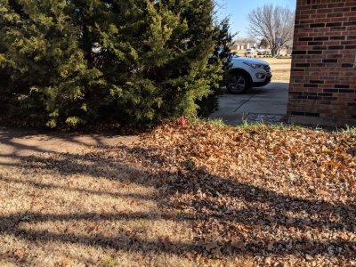 IMG_20181210_115313.jpg