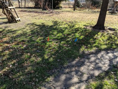 IMG_20181210_115553.jpg