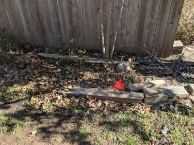 IMG_20181210_115605.jpg