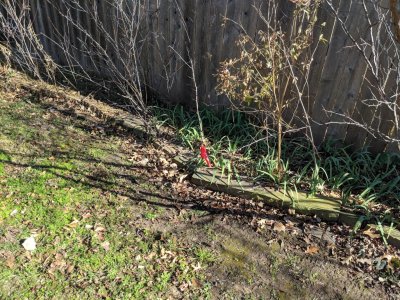 IMG_20181210_115613.jpg