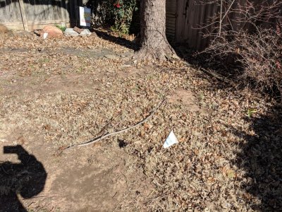 IMG_20181210_115642.jpg