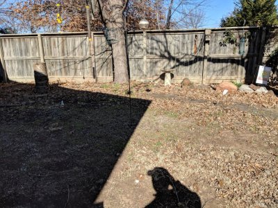 IMG_20181210_115645.jpg