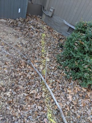 IMG_20181210_115657.jpg
