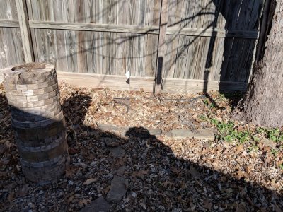 IMG_20181210_115706.jpg