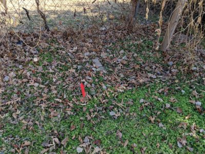 IMG_20181210_115803.jpg