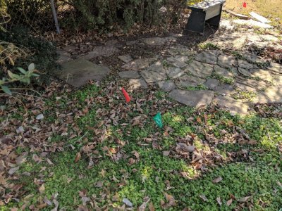 IMG_20181210_115807.jpg