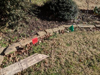 IMG_20181210_115815.jpg