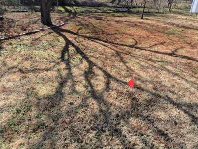 IMG_20181210_115839.jpg