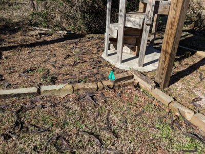 IMG_20181210_115932.jpg