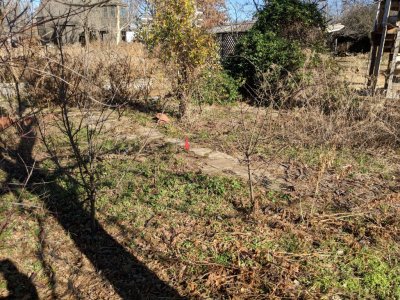 IMG_20181210_115954.jpg
