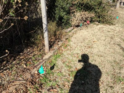 IMG_20181210_120045.jpg