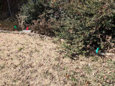 IMG_20181210_120157.jpg