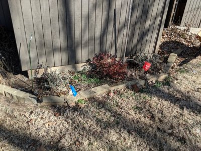 IMG_20181210_120252.jpg