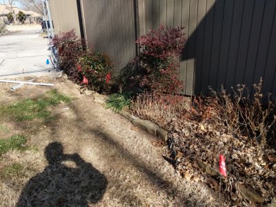 IMG_20181210_120302.jpg