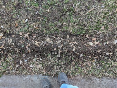 IMG_20181210_160209.jpg