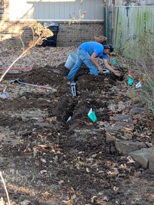 IMG_20181210_160311.jpg