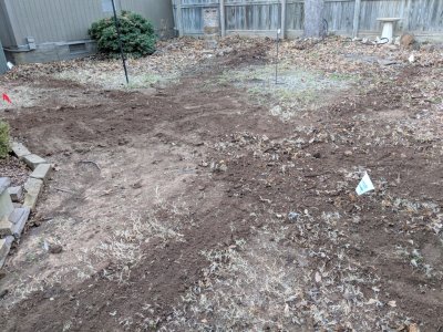 IMG_20181210_170742.jpg