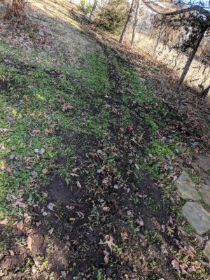 IMG_20181211_101332.jpg