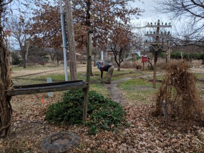 IMG_20181211_164546.jpg
