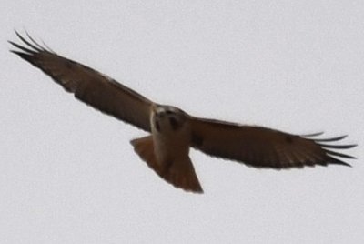DSC_4666b.jpg