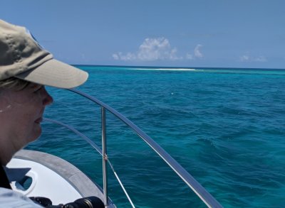 Jan was the lookout as we approached Hospital Key, the first of the Dry Tortugas we saw.