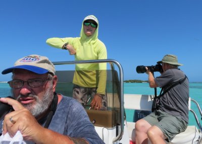 After lunch, Erica took us in three groups by Bush Key, where Brown Noddies and Sooty Terns were nesting, and Long Key, where Magnificent Frigatebirds and Brown Pelicans were nesting.