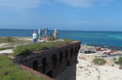 Pat, Bill, Steve, Dave and Jane look for a Bridled Tern on the old pier supports below the fort.