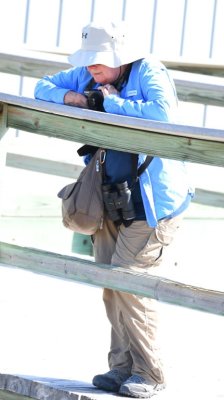 Mary, studying the turnstones from the walkway to the dock