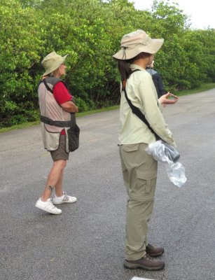 Hannah watched and listened while Phoenix played the Mangrove Cuckoo call.