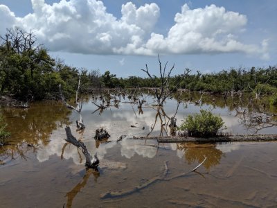 We drove over to No Name Key and found the area still damaged from Hurricane Irma.