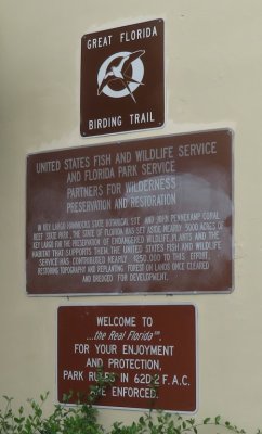 We next stopped at the Dagny Johnson Key Largo Hammock Botanical State Park and again failed to find a Mangrove Cuckoo.