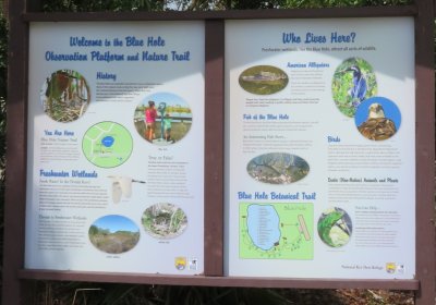 We met the rest of our group, Lou, Mary, Annabel, Pat and Bill, on Long Pine Key and went to the nearby Blue Hole, a former limestone quarry. 