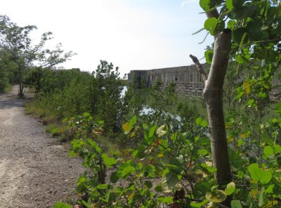 Our next destination was Fort Zachary Taylor State Park on Key West. This is a path along the moat beside the fort wall.