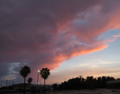 After dinner, we drove to the campus of Florida Keys Community College. We were looking for birds, but saw a beautiful sunset as well.