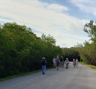 We started the morning at Black Point Marina, looking for the Mangrove Cuckoo, and ran into some other birders there: Jan, other birder #1, Steve, Dave, Wes, Phoenix, Hannah, other birder #2.